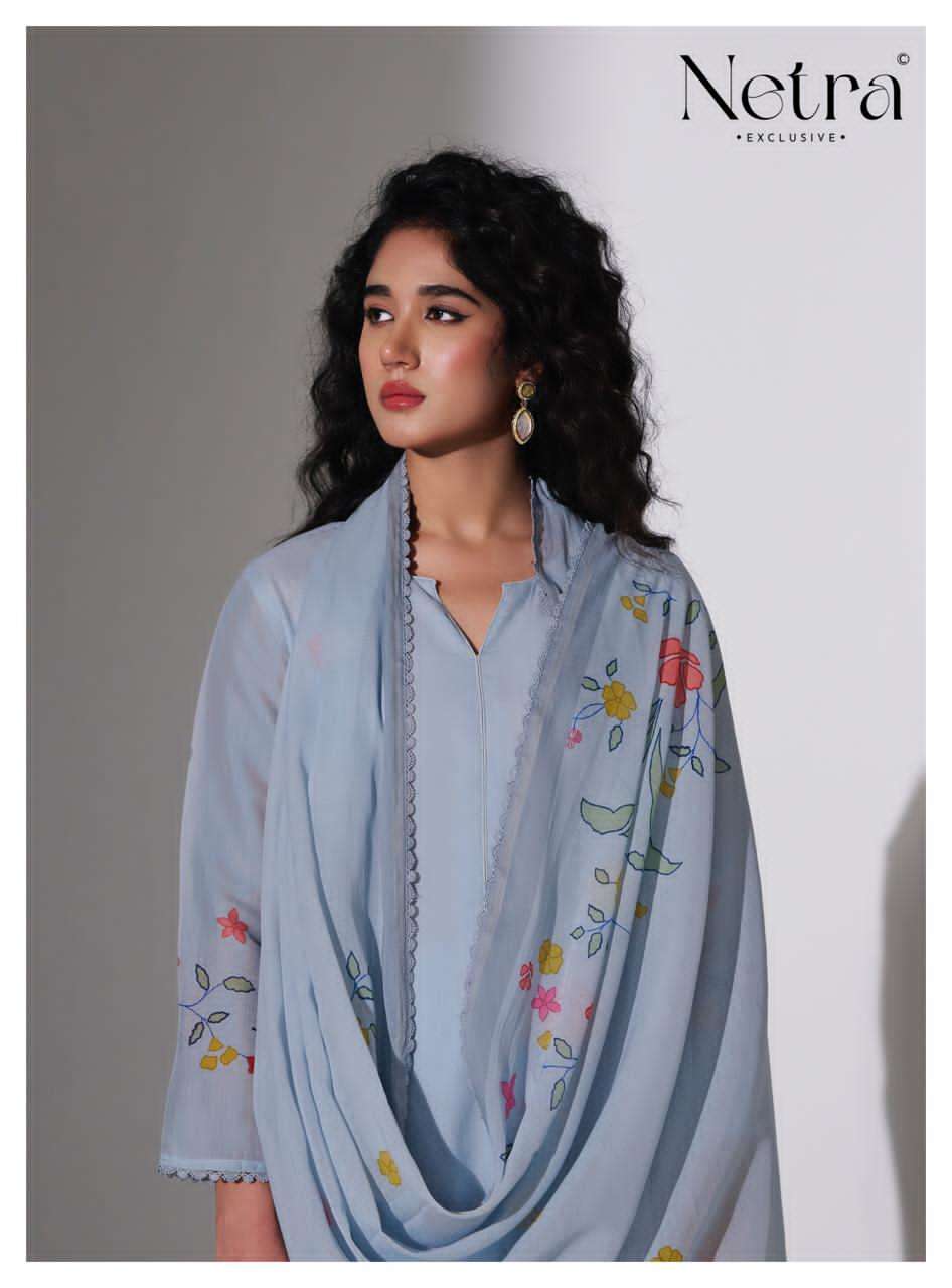 Netra Exclusive Mishri Banarasi Chanderi Pakistani Suit - Amrah Wholesale