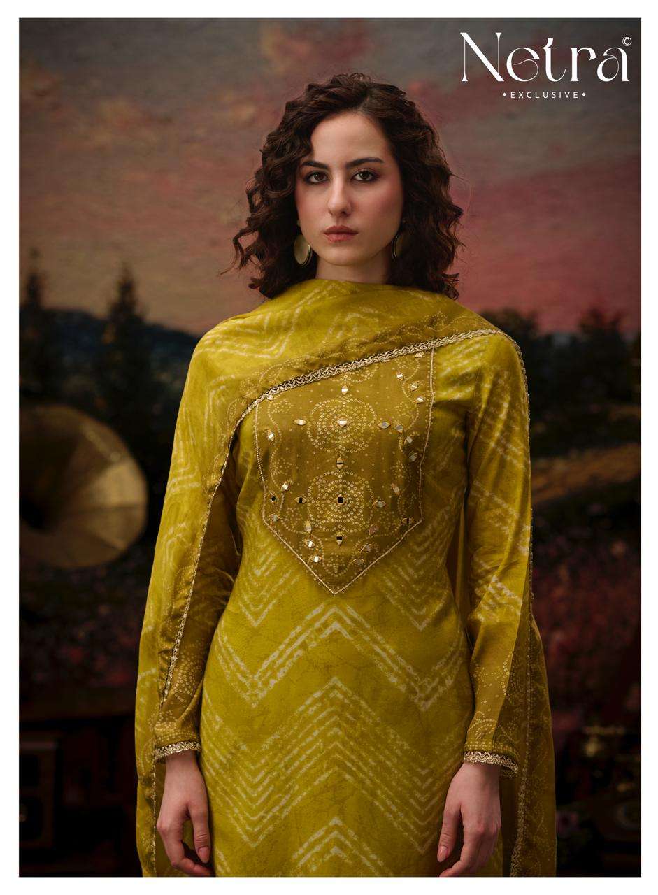 Netra Exclusive Rinkal Pure Bemberg Muslin Mirror Worked Salwar Suit