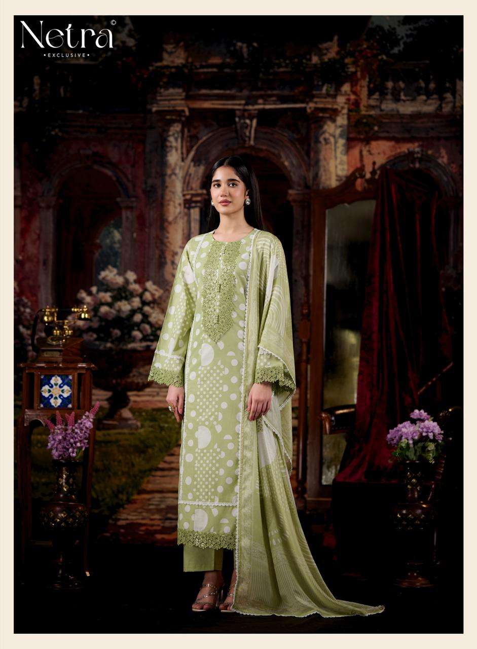 Netra Exclusive Rohini Pure Cotton Designer Dress Material Collection - Amrah Wholesale