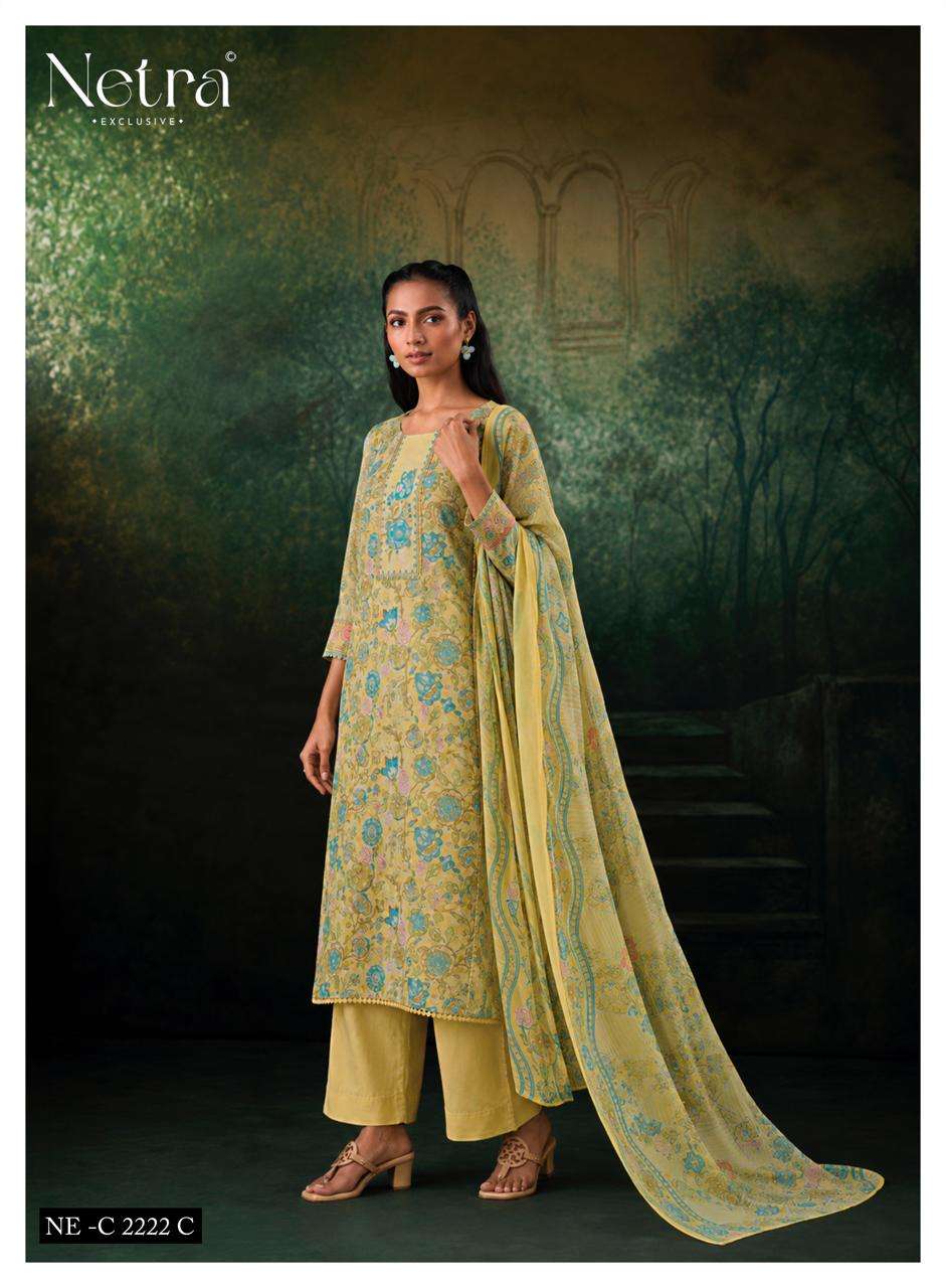 Netra Exclusive Rudra Pure Cotton Dress Material Wholesale