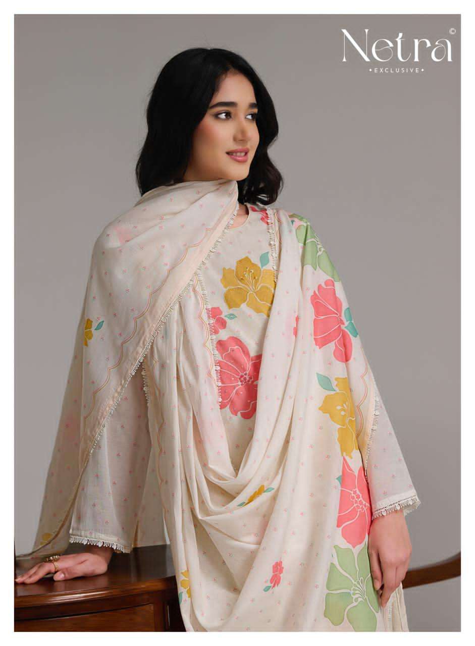 Netra Exclusive Shanti Banarasi Mal Chanderi Designer Dress Material Wholesale Collection