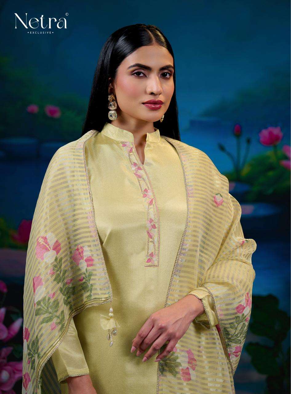 Netra Exclusive Zara