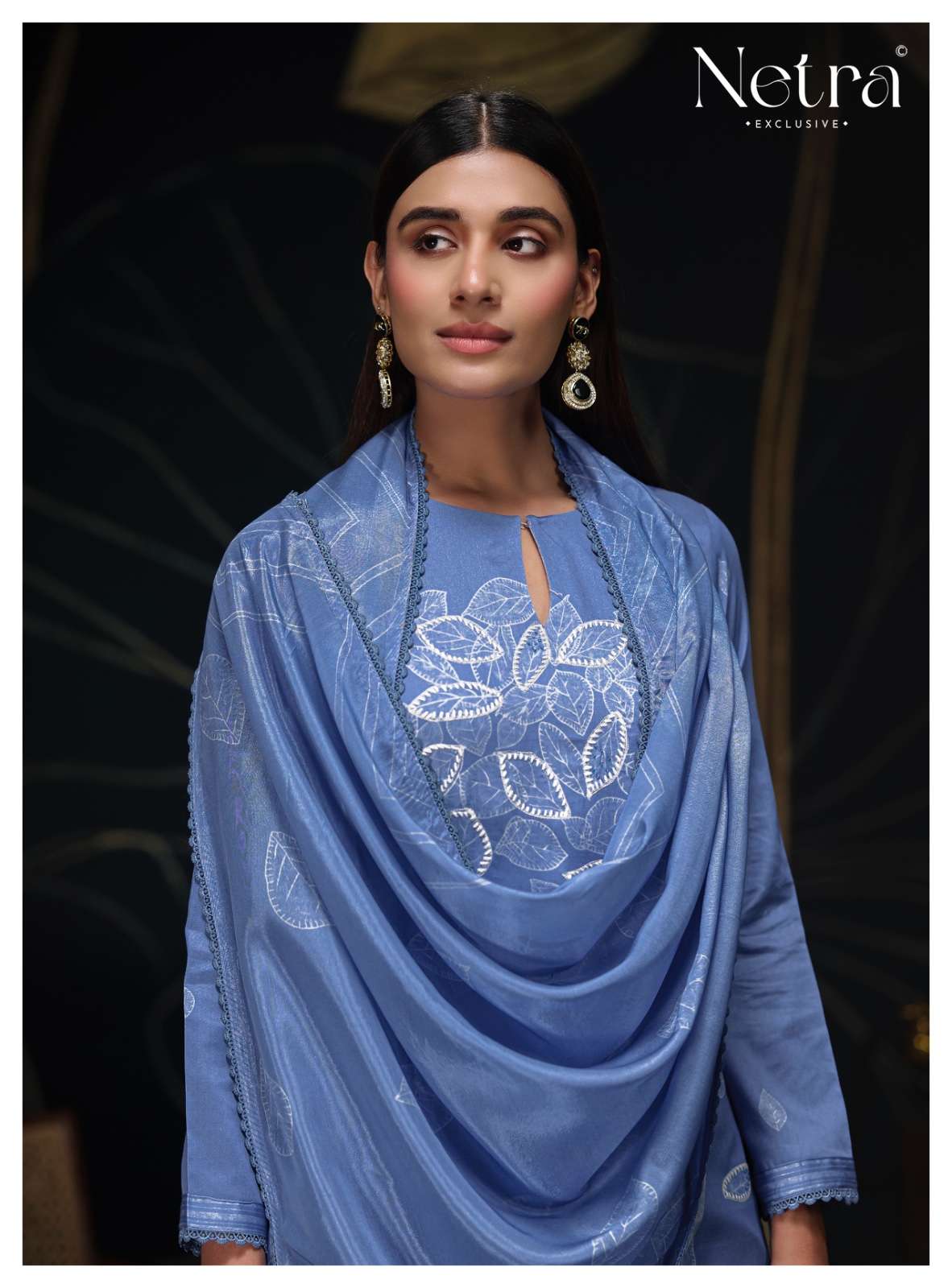 Netra Ishi Dress Material Wholesale Catalogue - Amrah Wholesale