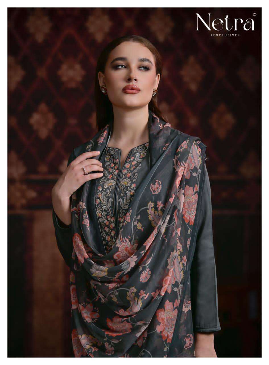 Netra Exclusive Jasira Salwar Suit Set Wholesale Catalogue - Amrah Wholesale