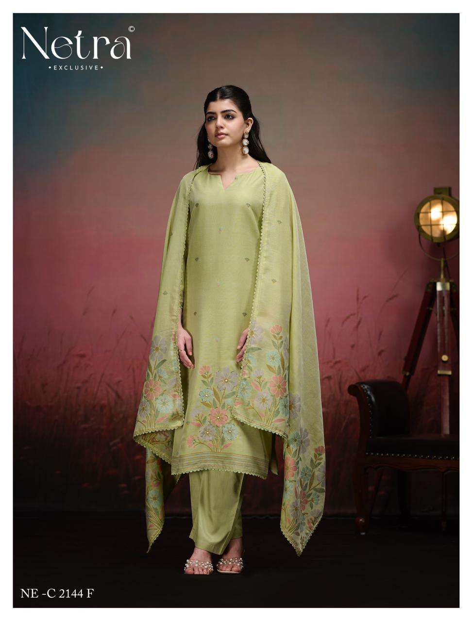 Netra Exclusive Jisha Banarasi Jamdani Dress Material