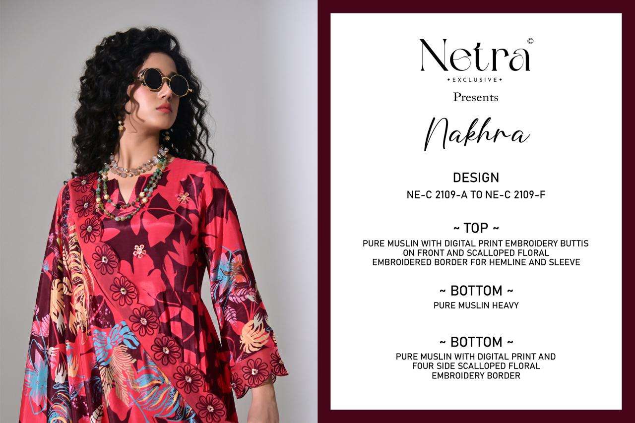 Netra Exclusive Nakhra Salwar Suit Set Wholesale Catalogue - Amrah Wholesale