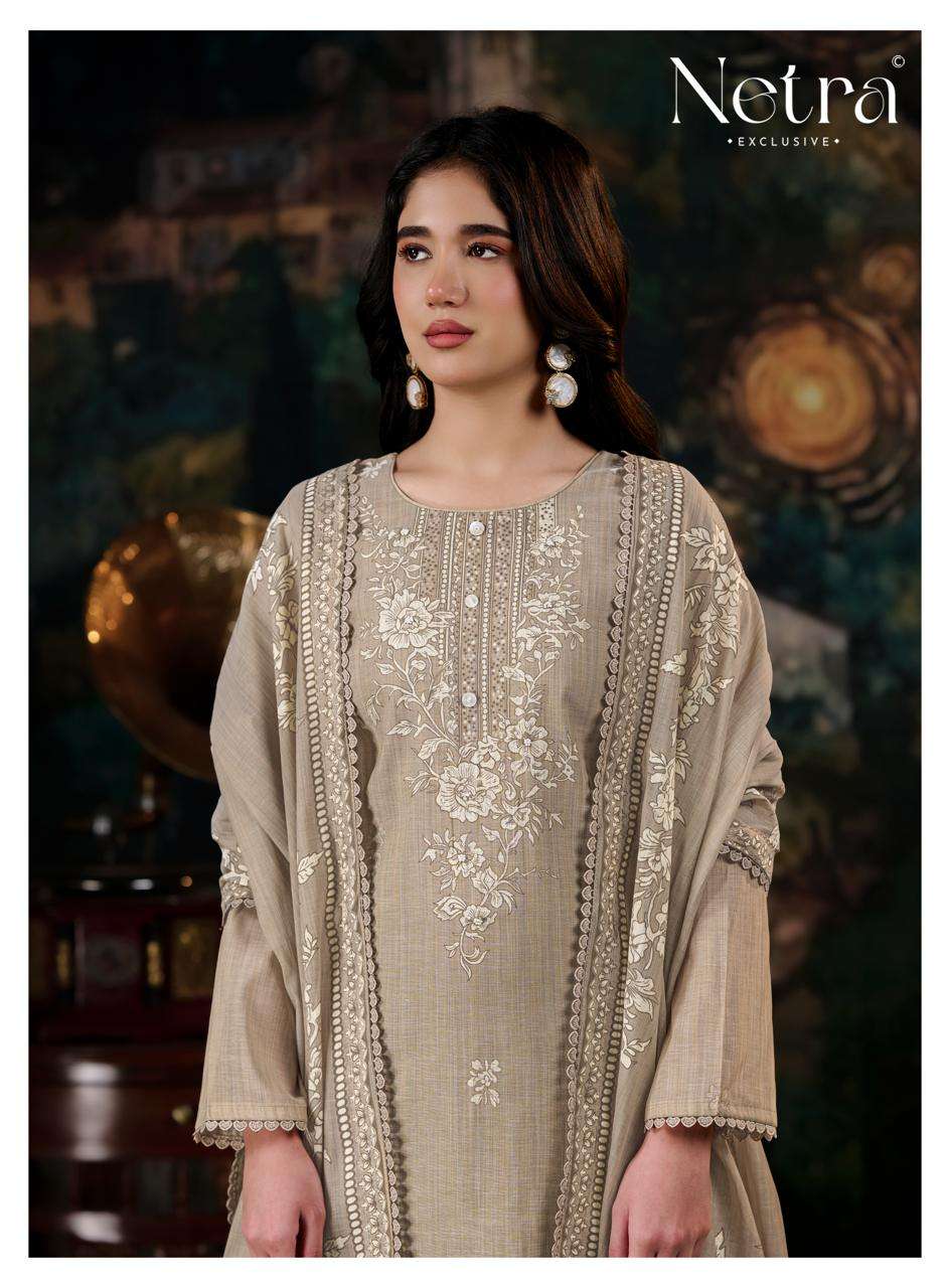 Netra Nayanshi Banarasi Mul Chanderi Dress Material - Amrah Wholesale