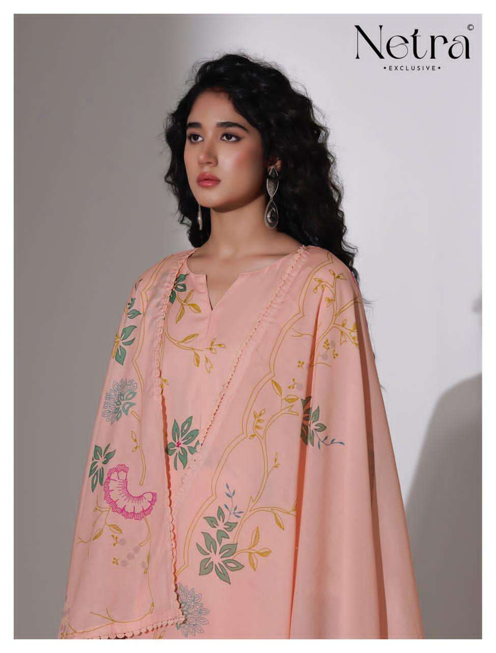 Netra Nirvi Banarasi Chanderi Dress Material