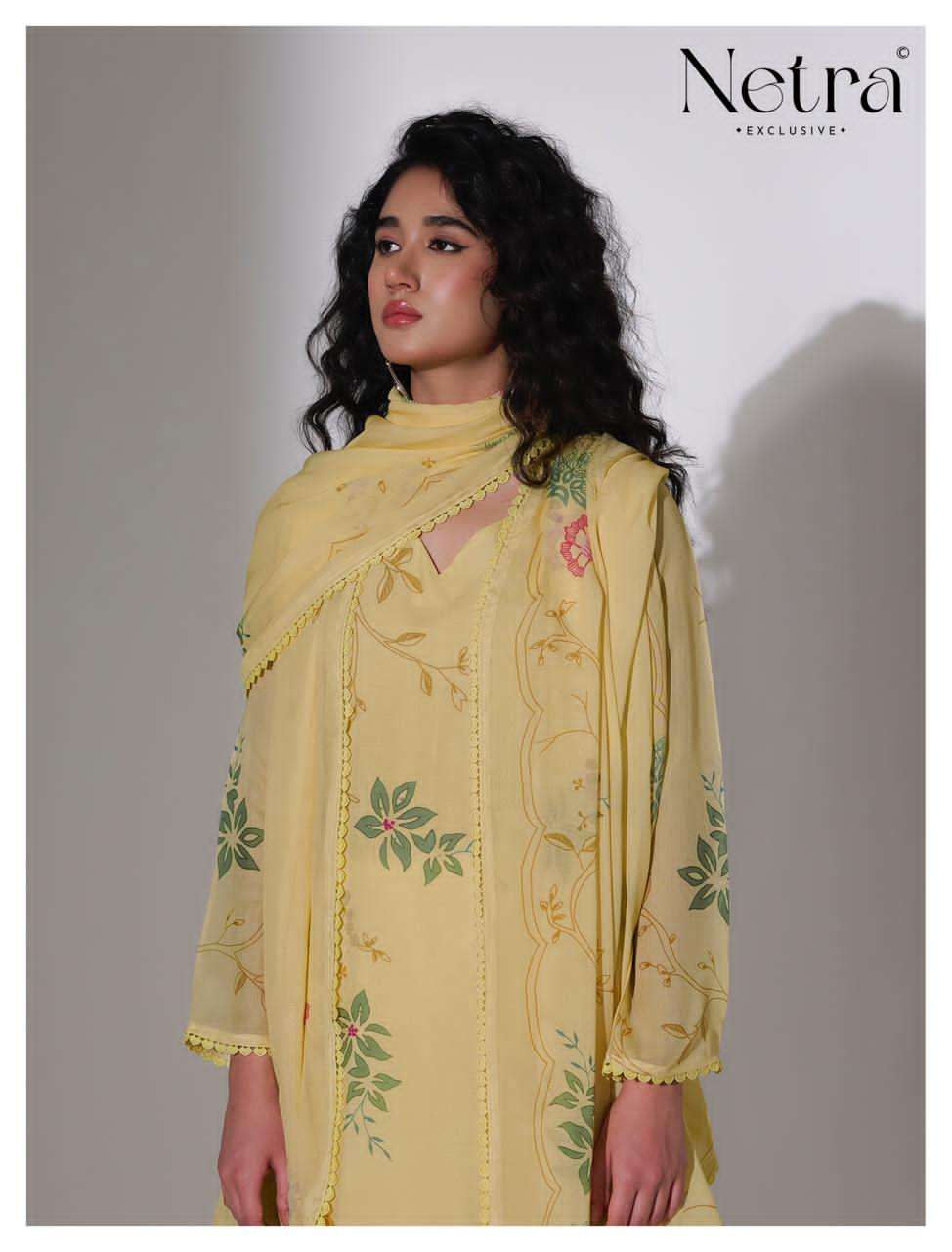 Netra Nirvi Banarasi Chanderi Dress Material