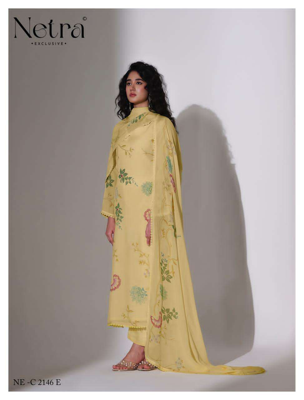 Netra Nirvi Banarasi Chanderi Dress Material