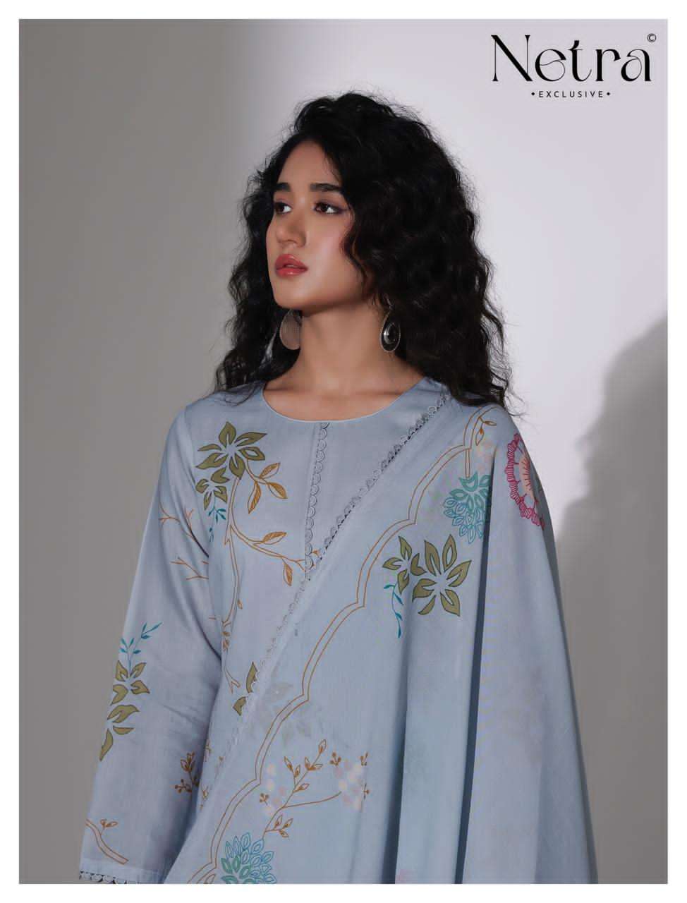Netra Nirvi Banarasi Chanderi Dress Material