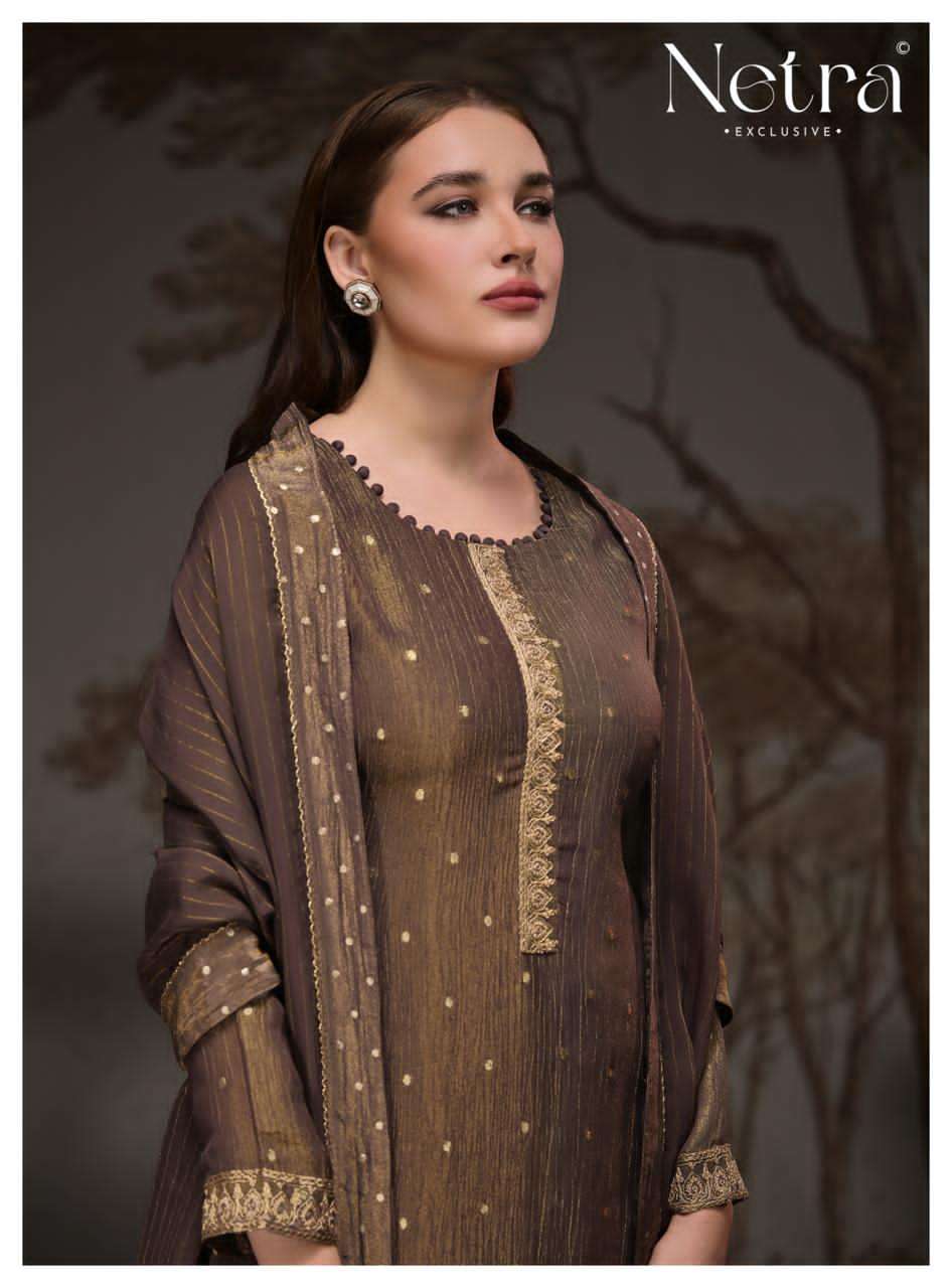 Netra Paridhi