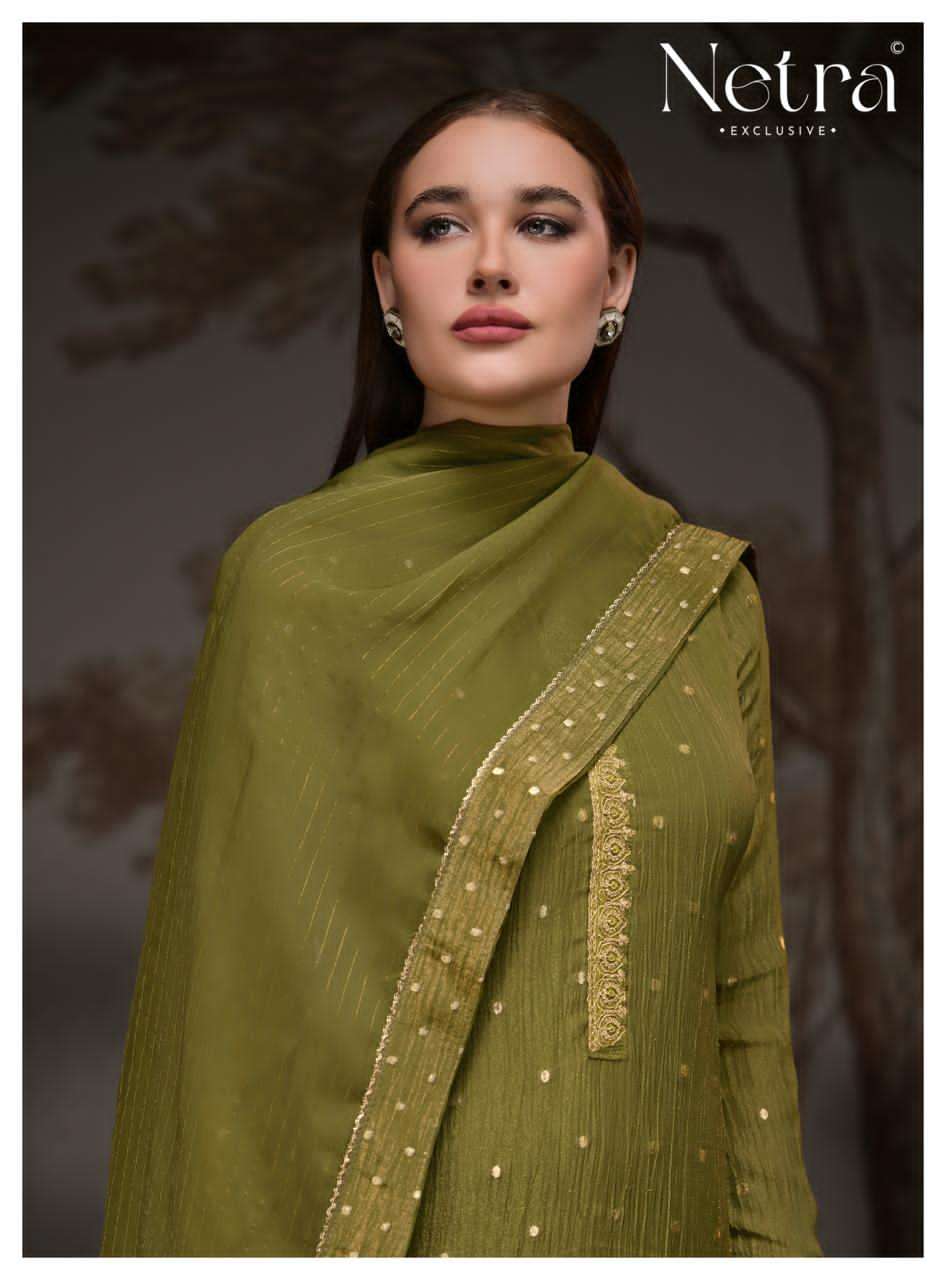 Netra Paridhi