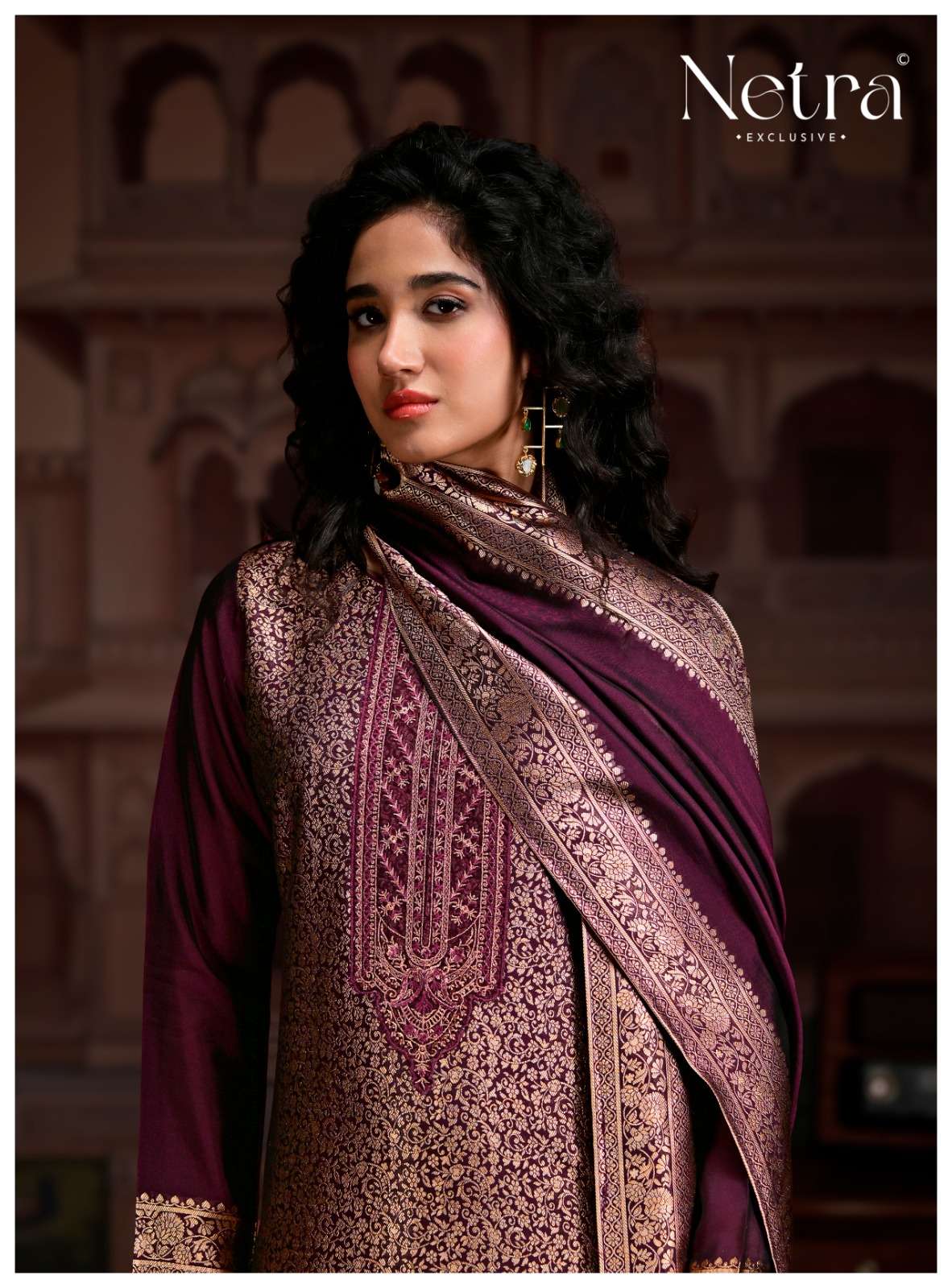 Netra Rooh Vol 2 Dress Material Wholesale Catalogue - Amrah Wholesale