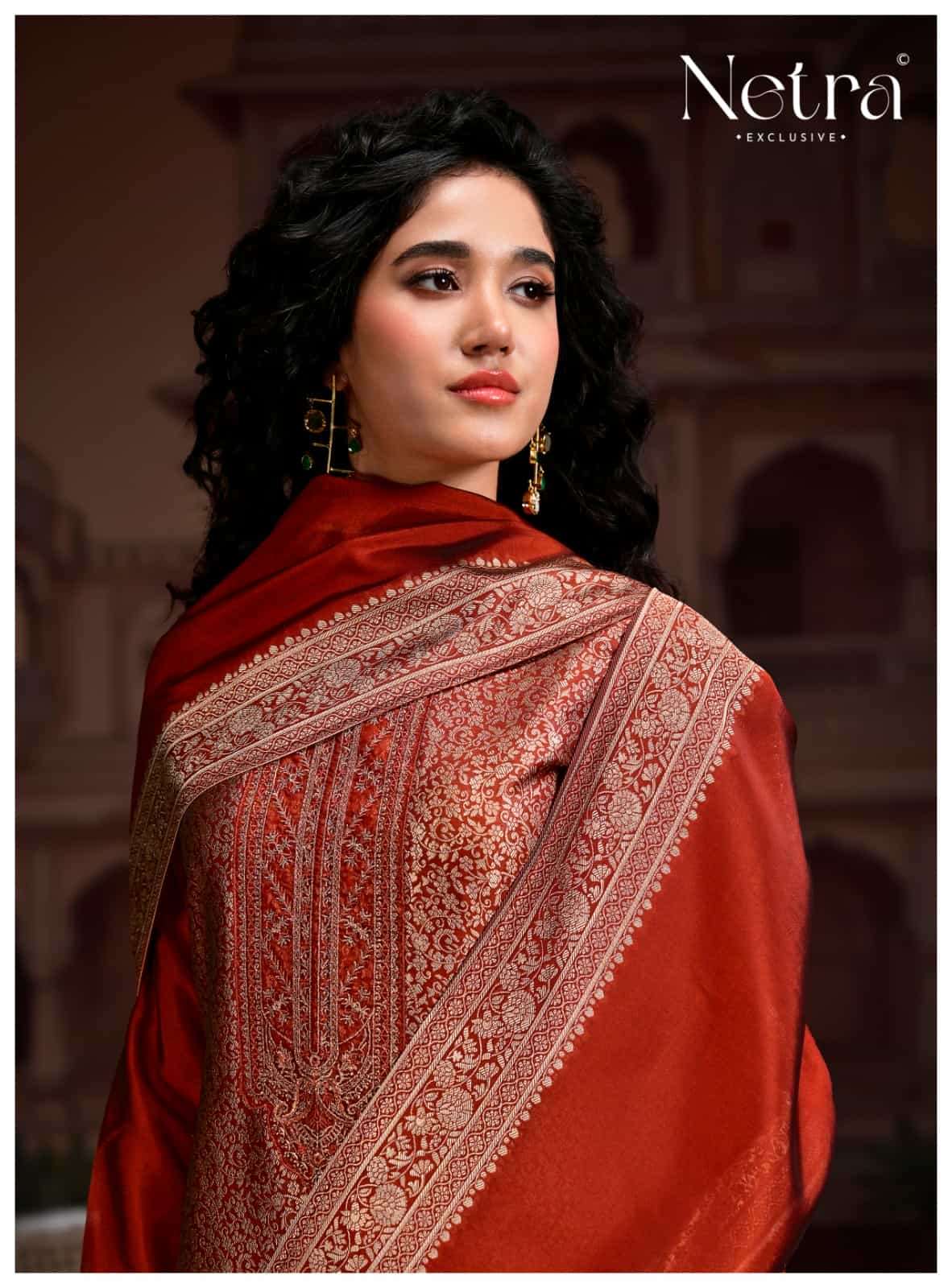Netra Rooh Vol 2 Dress Material Wholesale Catalogue - Amrah Wholesale