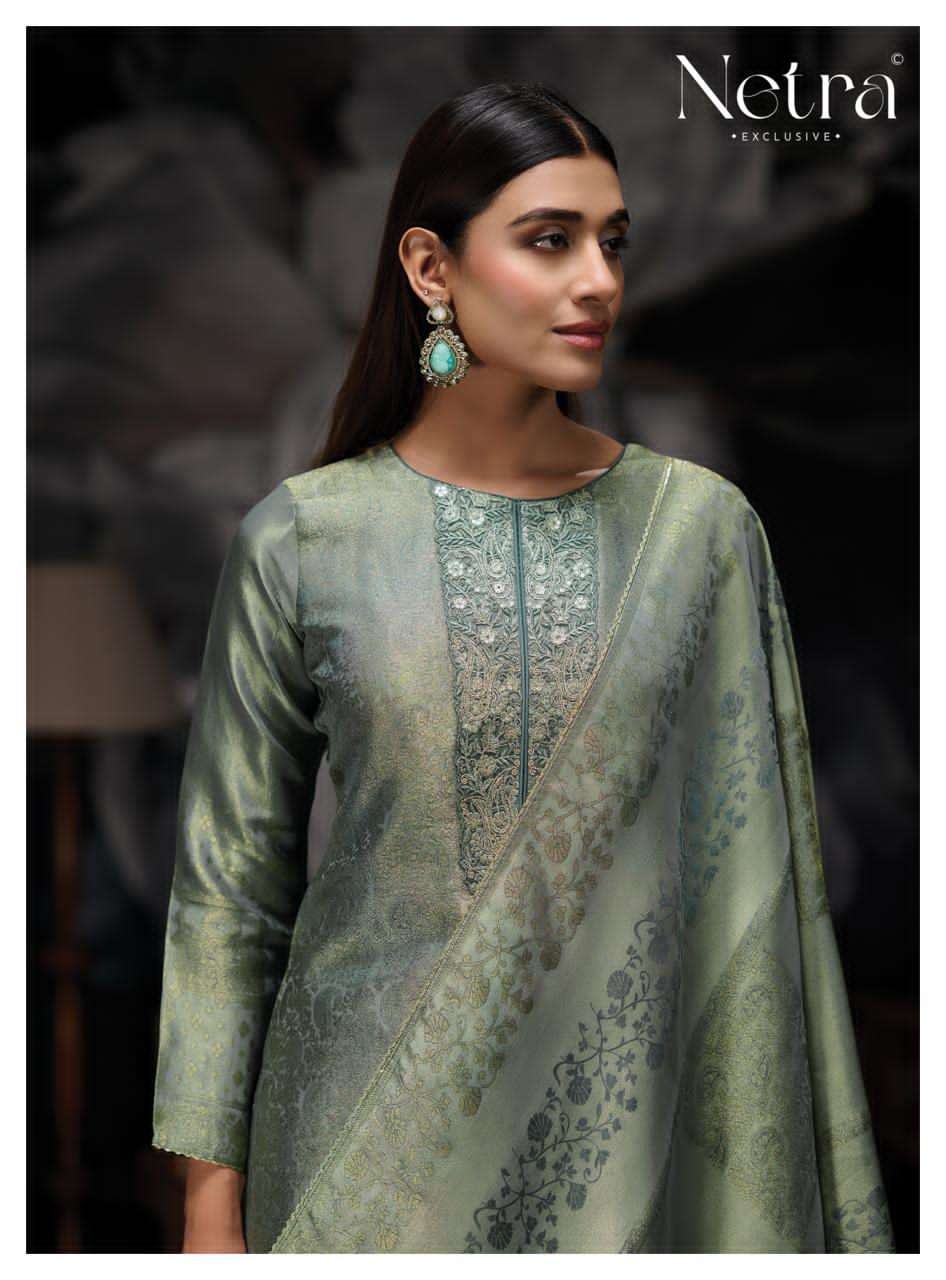 Netra Exclusive Savi Salwar Suit Set Wholesale Catalogue - Amrah Wholesale