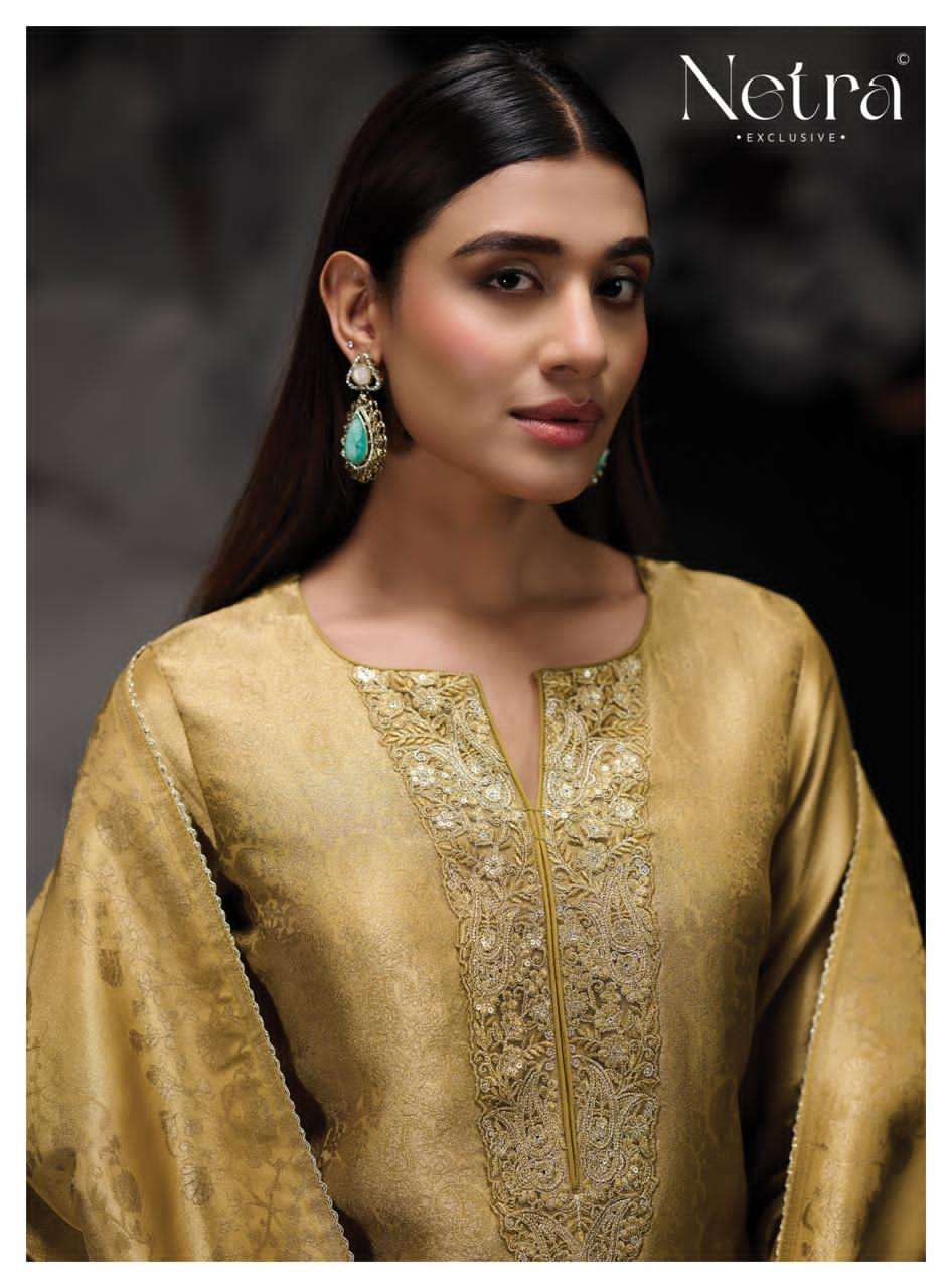 Netra Exclusive Savi Salwar Suit Set Wholesale Catalogue - Amrah Wholesale