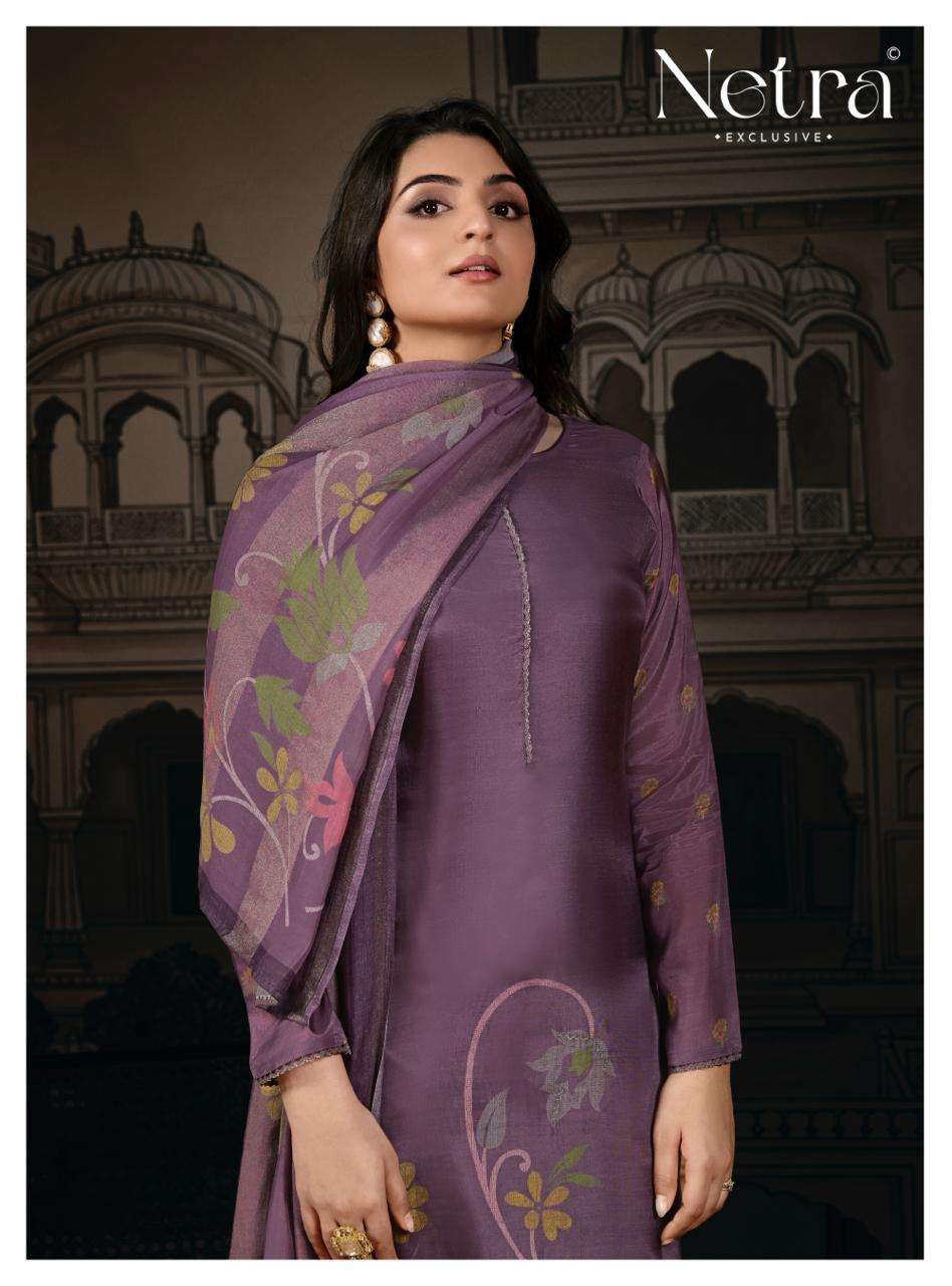 Netra Exclusive Shanaya Vol 2 - Amrah Wholesale
