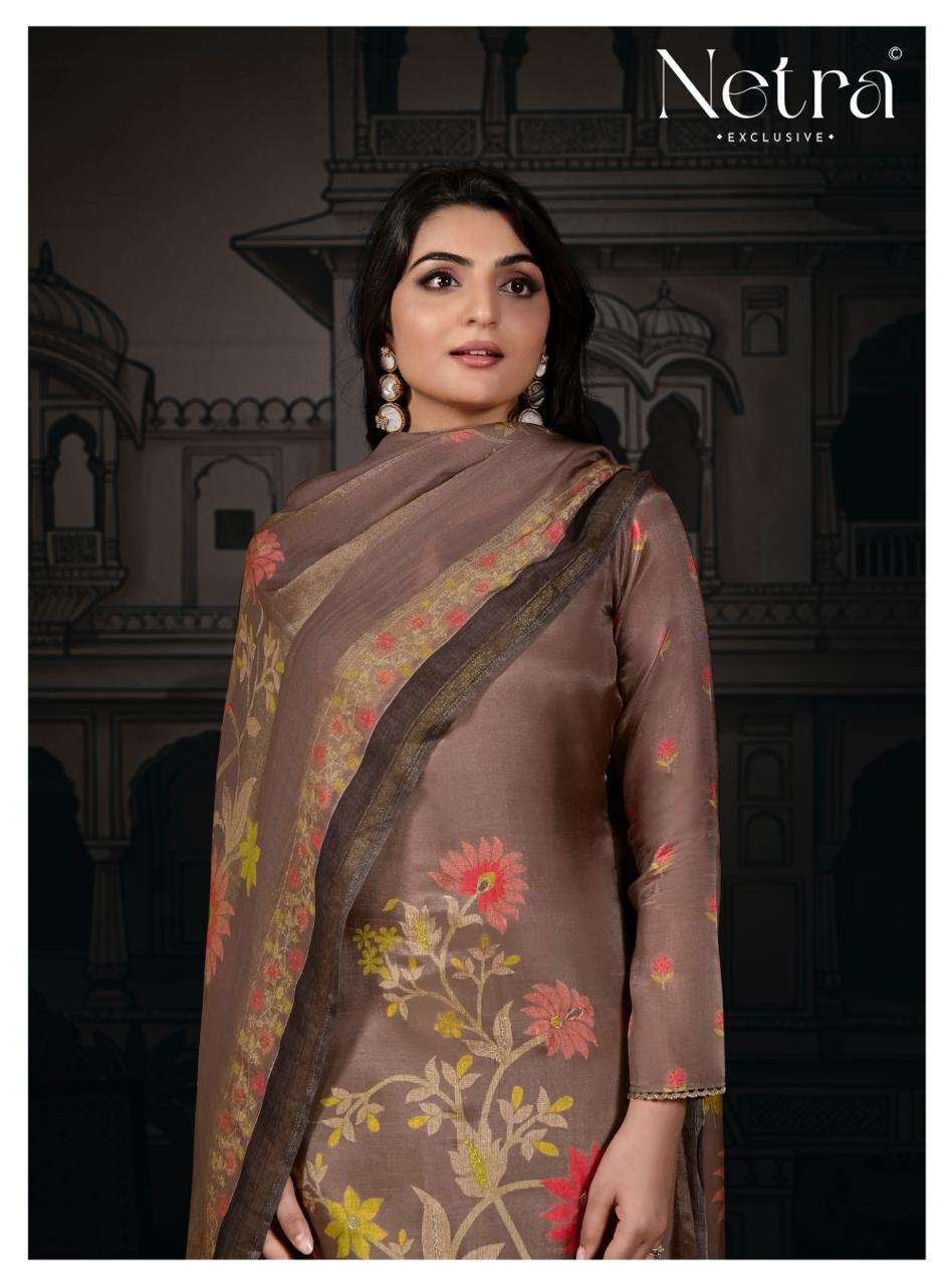 Netra Exclusive Shanaya Vol 2 - Amrah Wholesale