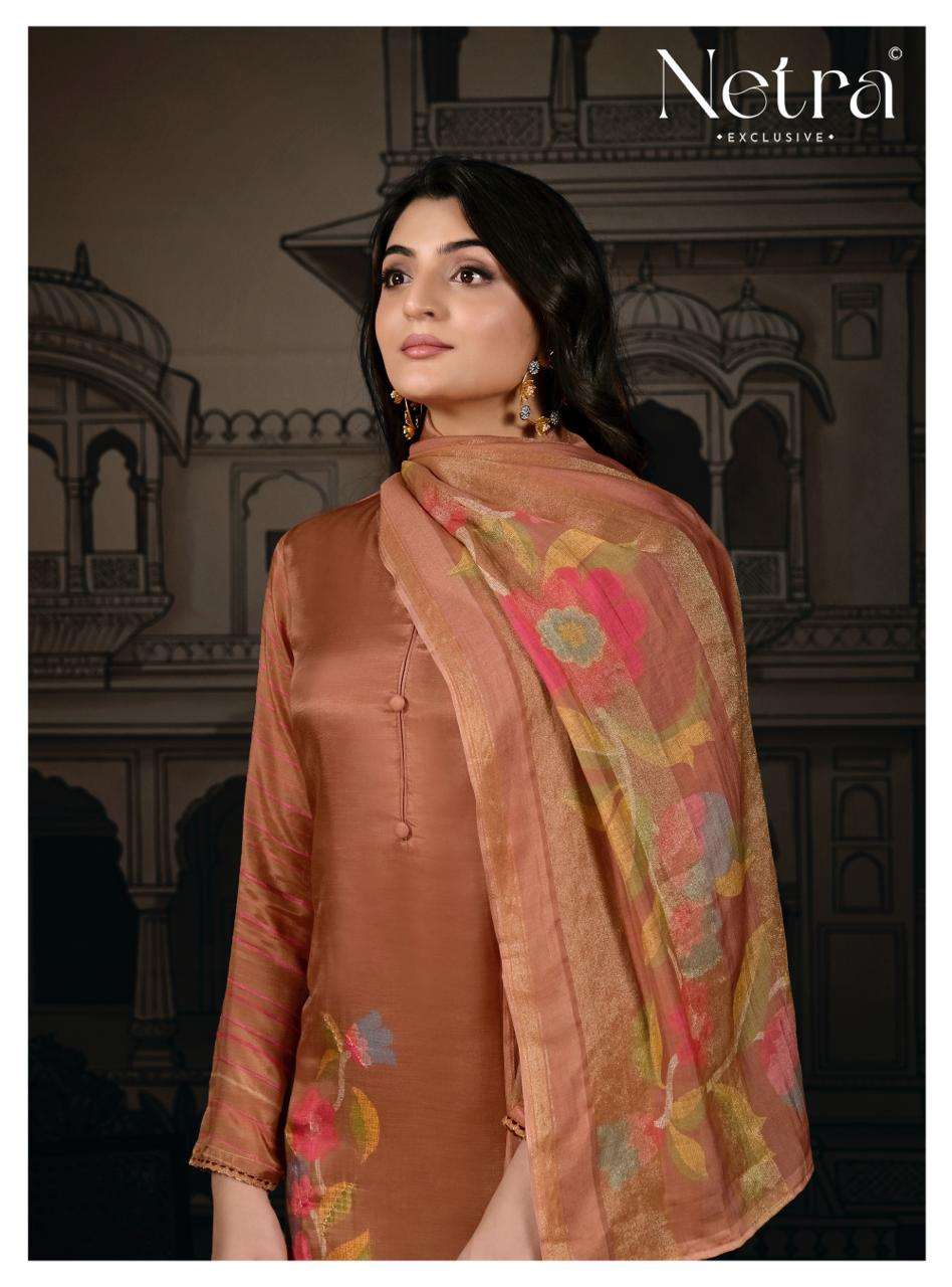 Netra Exclusive Shanaya Vol 2 - Amrah Wholesale