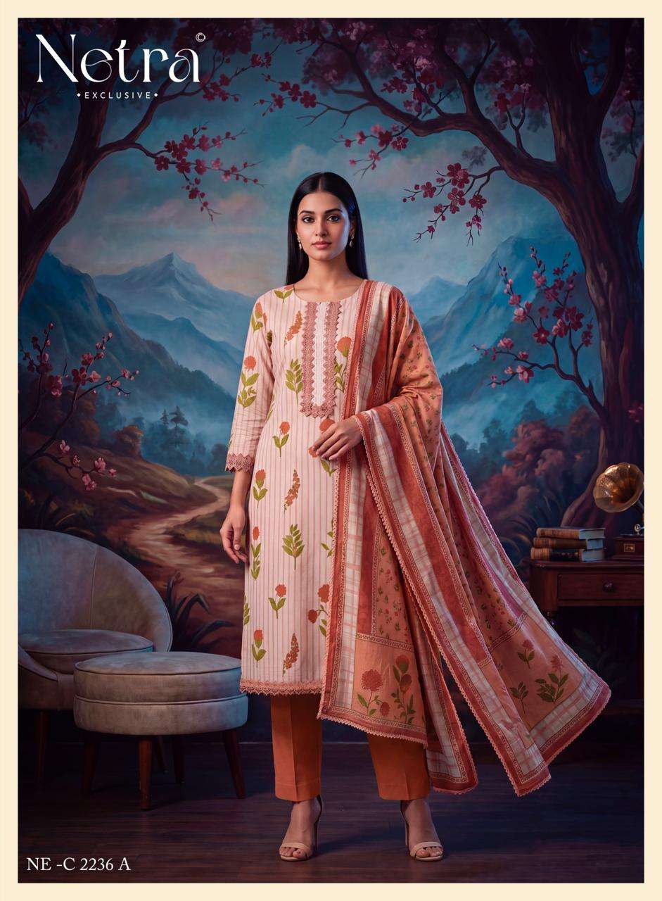 Netra Soma Pure Cotton Digital Print Dress Material - Amrah Wholesale