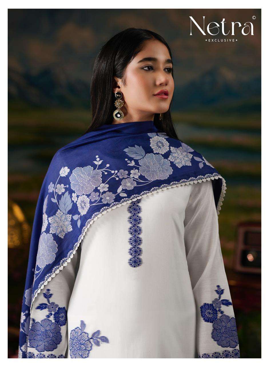 Netra Suman Bemberg Banarasi Jamdani Dress Material - Amrah Wholesale