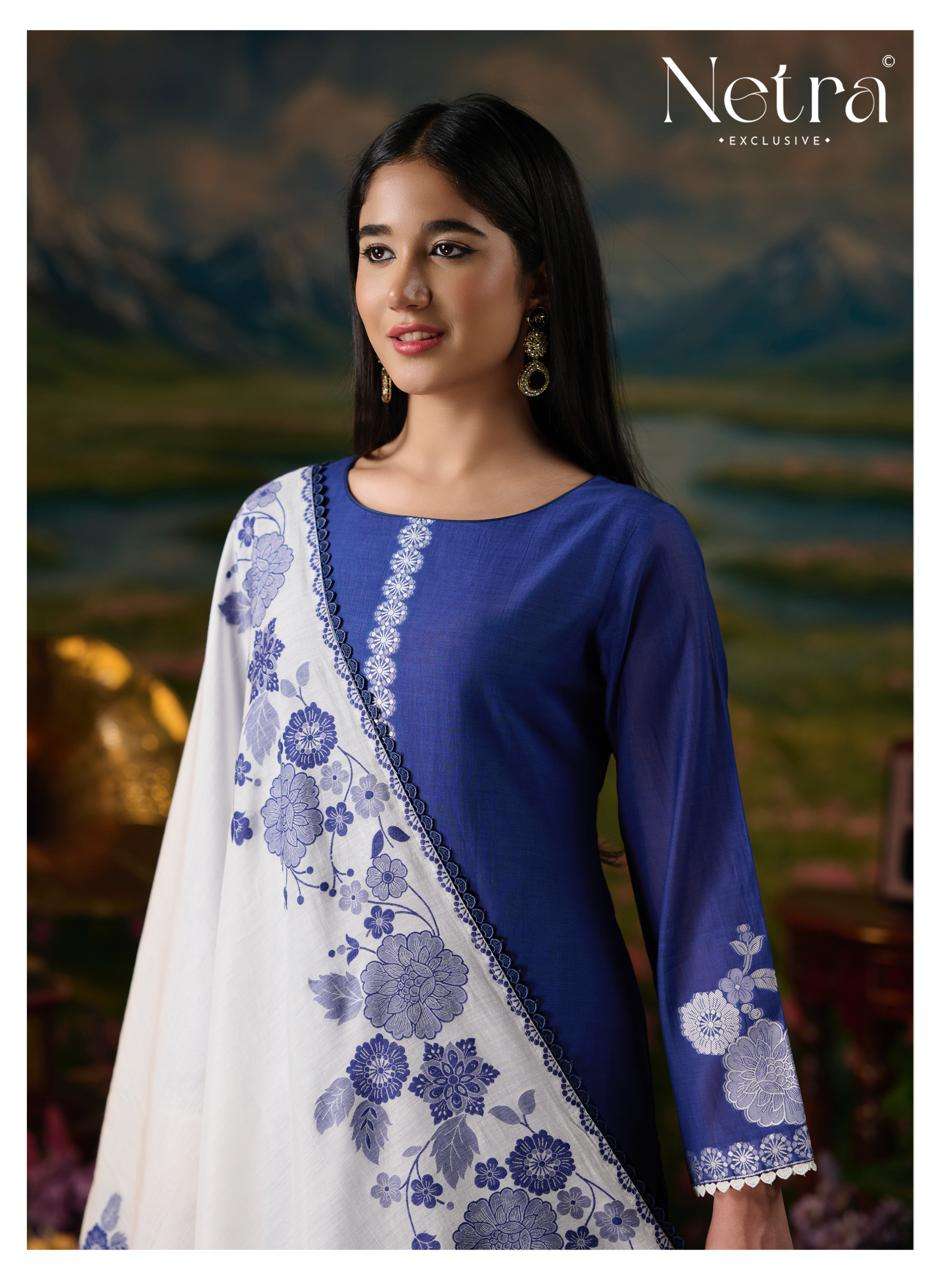 Netra Suman Bemberg Banarasi Jamdani Dress Material - Amrah Wholesale