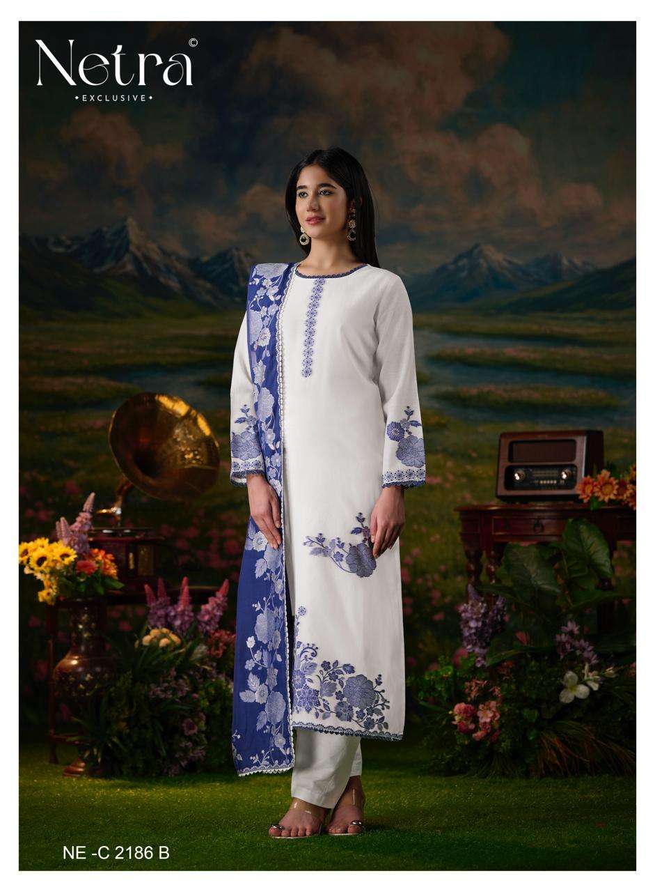 Netra Suman Bemberg Banarasi Jamdani Dress Material - Amrah Wholesale
