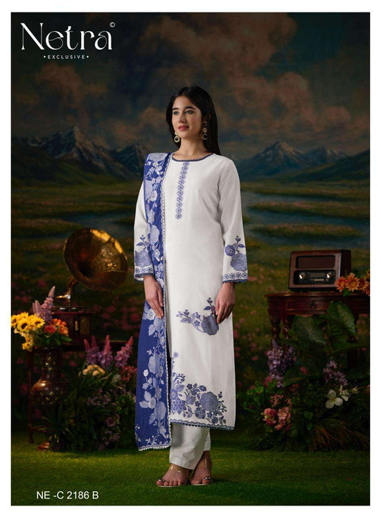 Netra Suman Bemberg Banarasi Jamdani Dress Material - Amrah Wholesale
