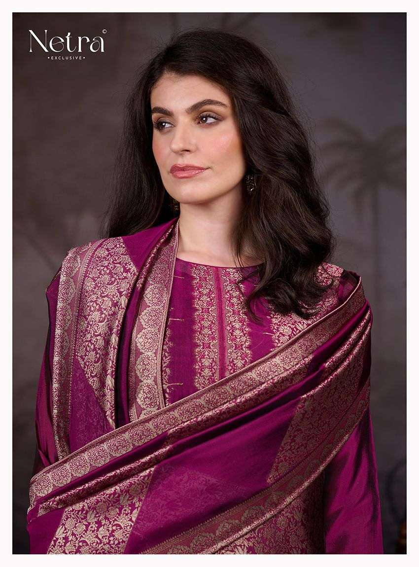 Netra Vazi Premium Silk Suit Catalog Wholesale | Netra Exclusive ...