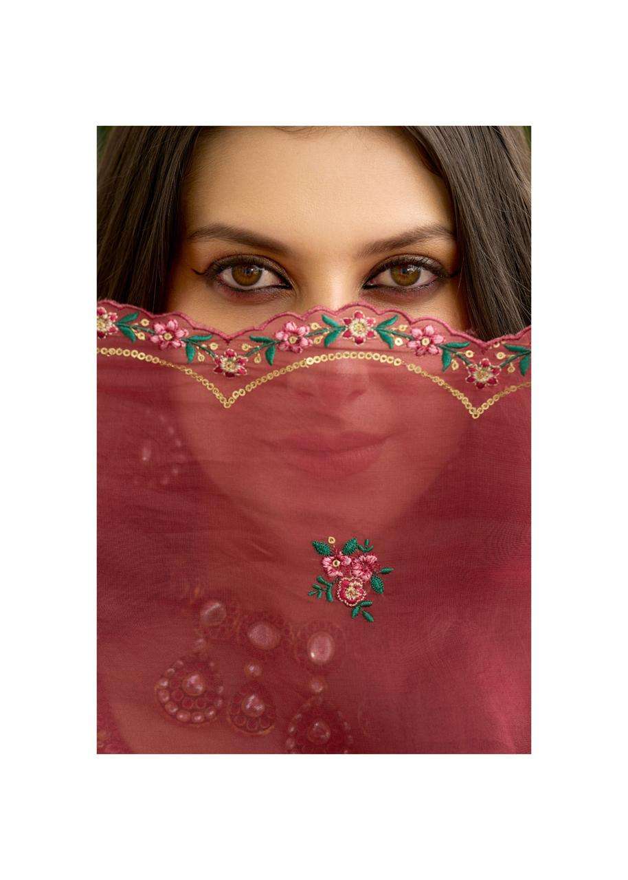 PRM India Leana Salwar Suit Set Wholesale Catalogue - Amrah Wholesale
