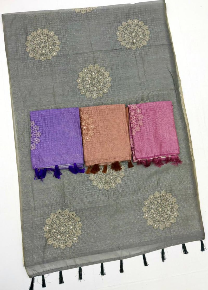 Rajyog Rang Chanderi Linen Bandhej Printed Saree
