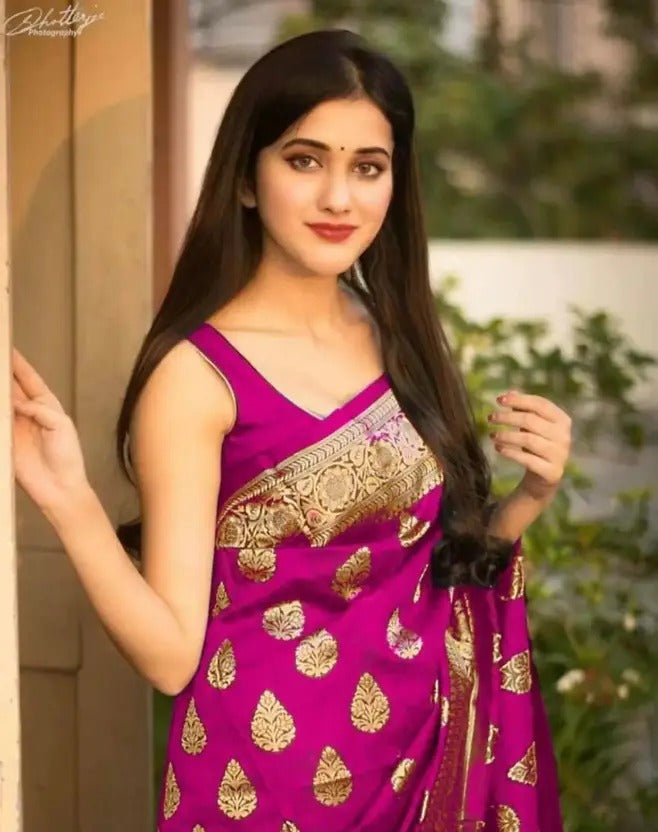 Sd Banarasi Silk Vol 7