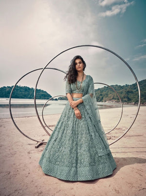 Senhora 7113 Pure Butterfly Net Embroidered Lehenga - Amrah Wholesale
