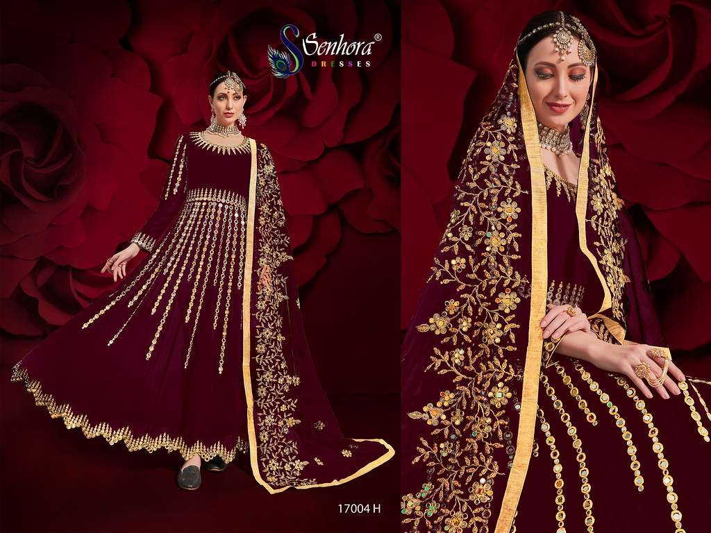 Senhora Agha Noor Vol-17