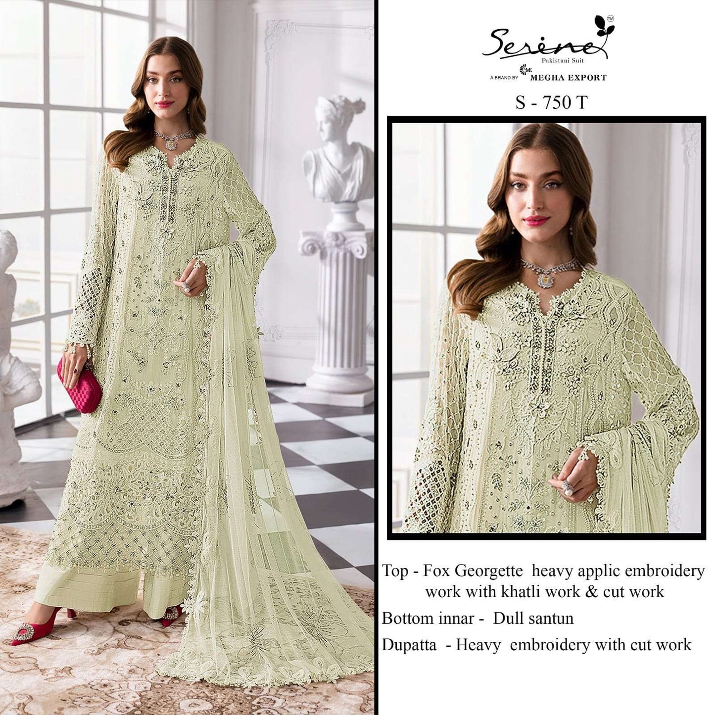 Serine S-750 Faux Georgette Embroidered Pakistani Suit Set