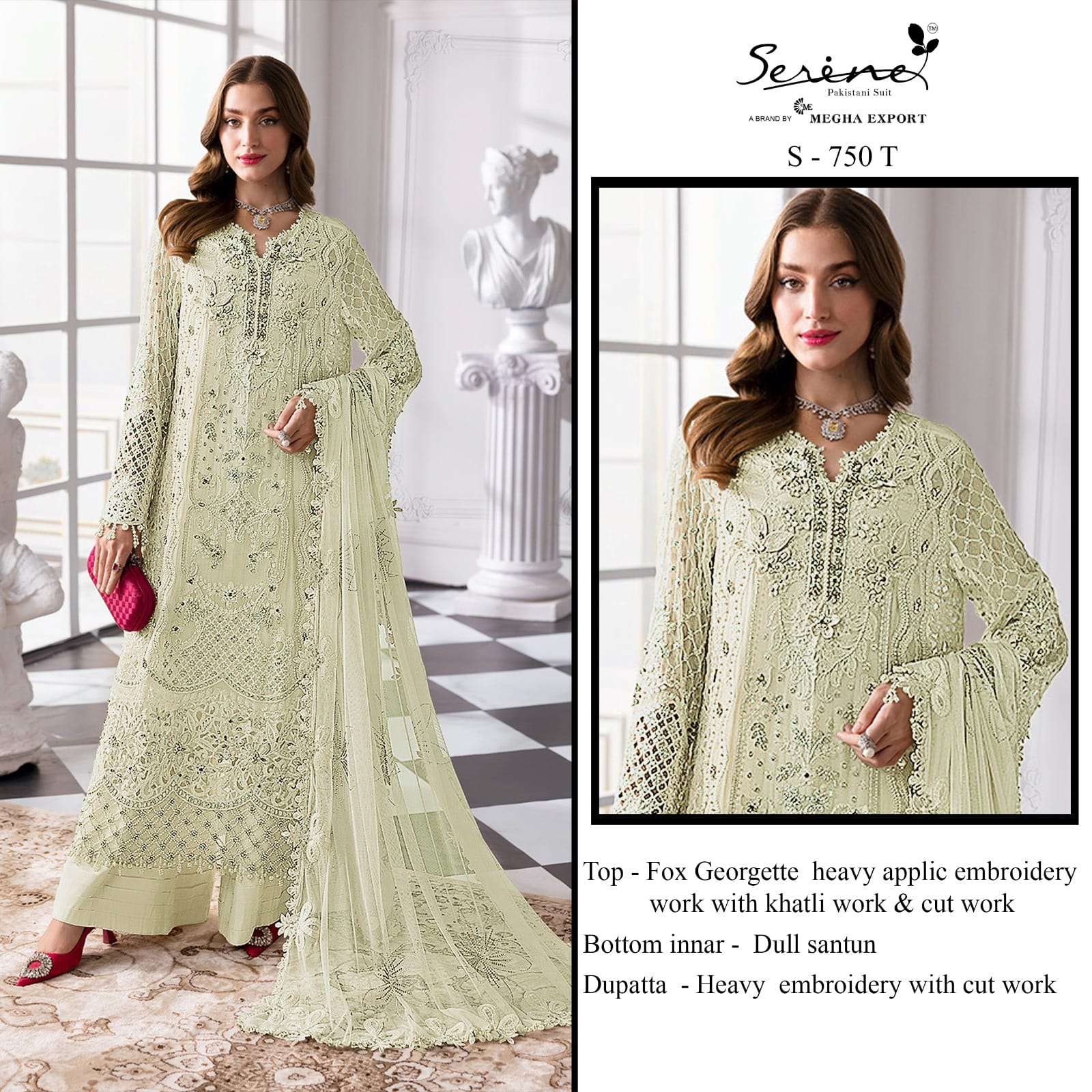 Serine S-750 Faux Georgette Embroidered Pakistani Suit Set