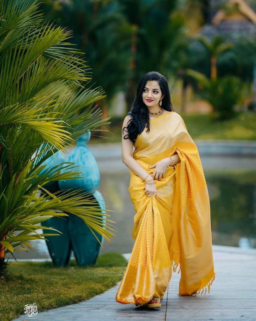 Soft Silk 3095 Saree Wholesale Catalogue - Amrah Wholesale