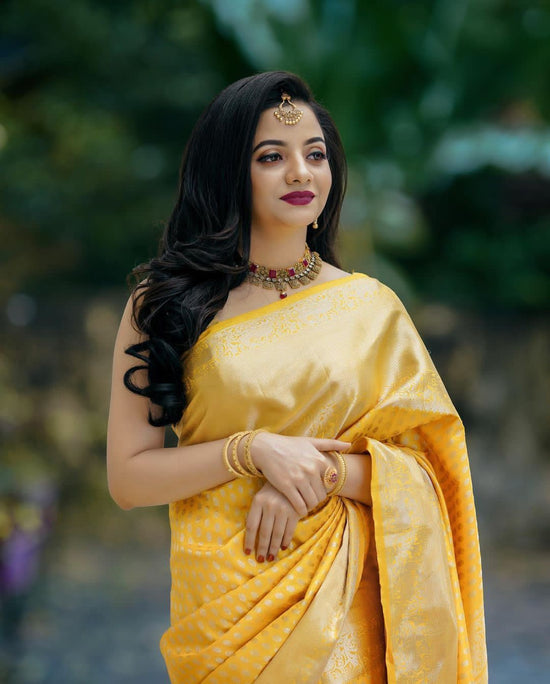 Soft Silk 3095 Saree Wholesale Catalogue - Amrah Wholesale