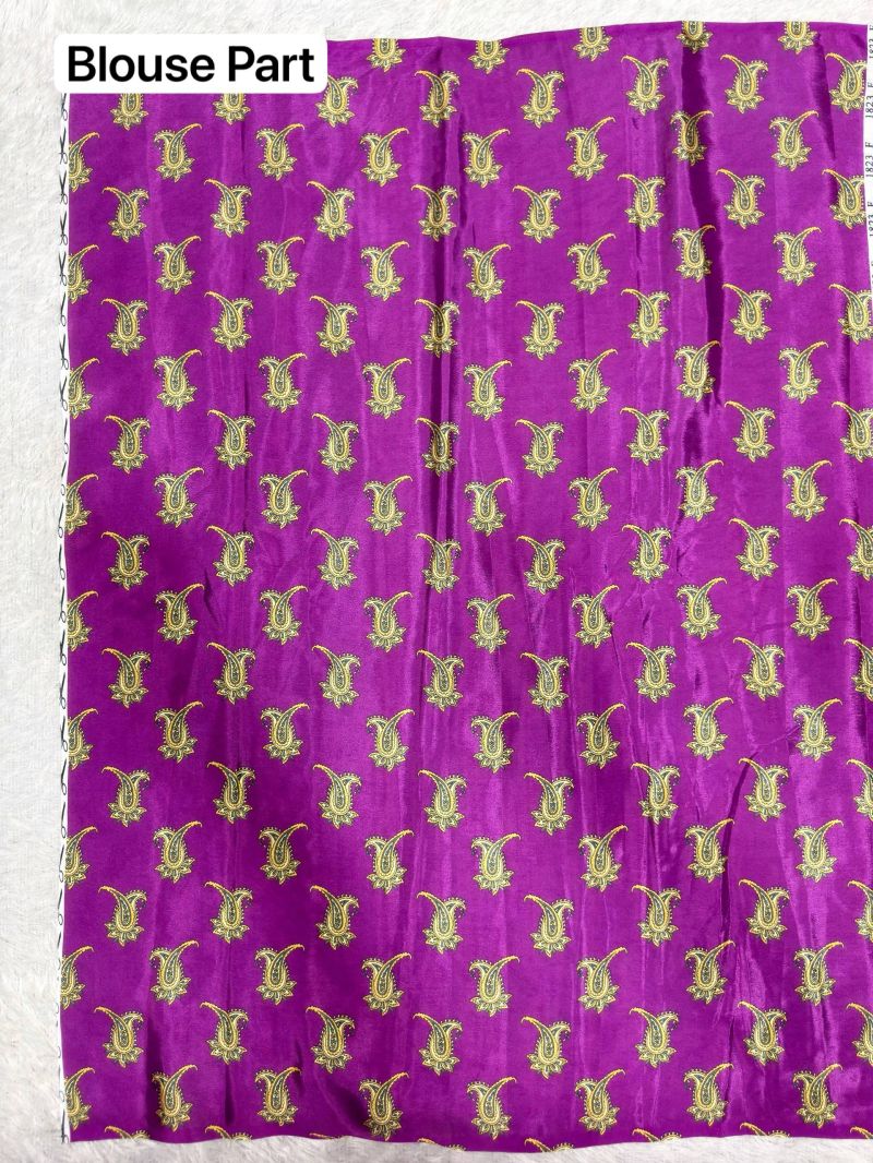 ST D No 181 Soft Chinon Silk Paisley Digital Printed Saree - Amrah Wholesale