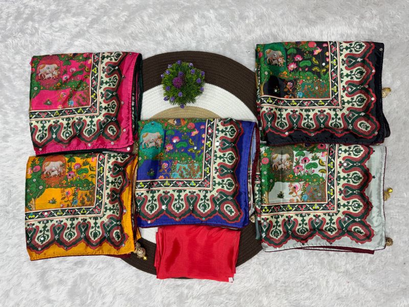 St D No 187 Soft Chinon Silk Digital Print Mirror Work Saree