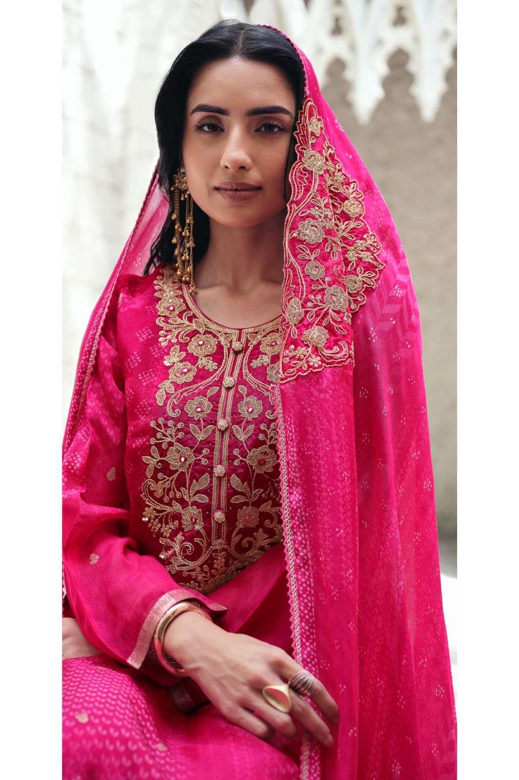 Varsha Fashion Neelaya Premium Organza Dress Material