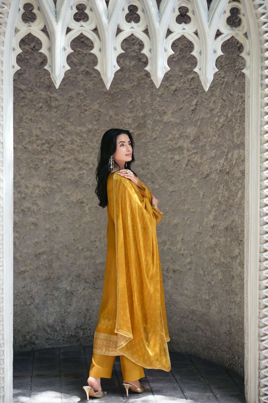 Varsha Fashion Neelaya Premium Organza Dress Material