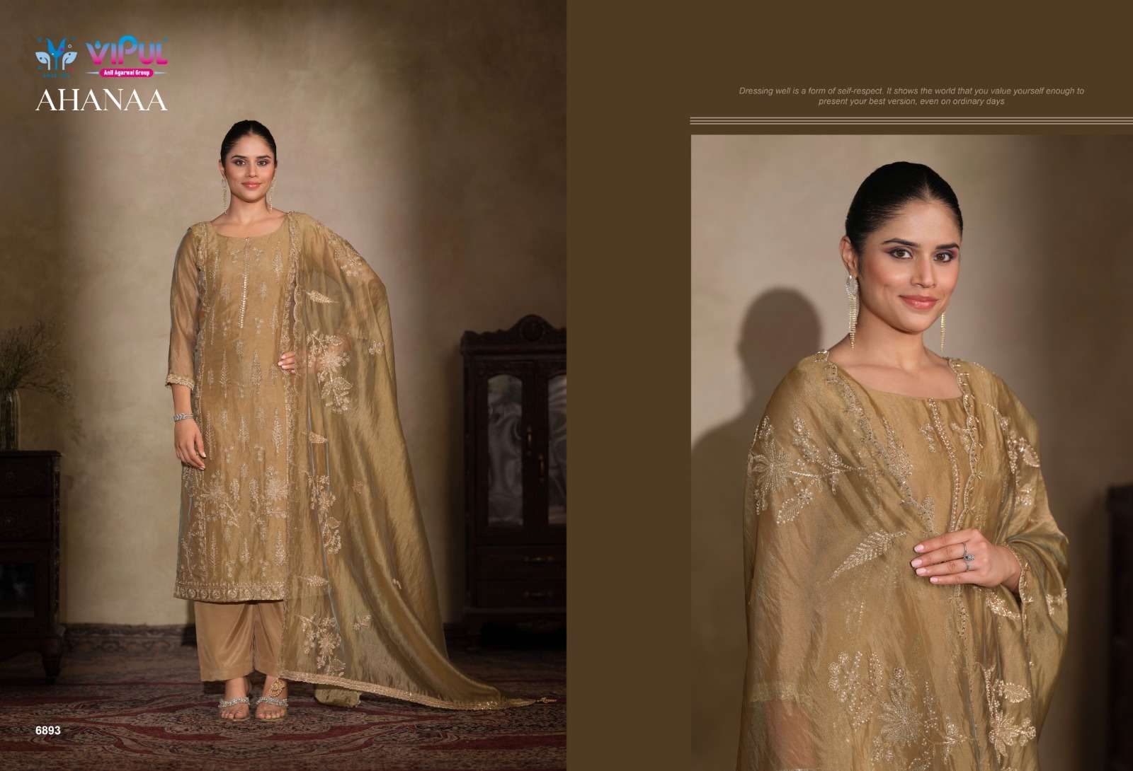Vipul Fashion Ahanaa Organza Silk Dress Material